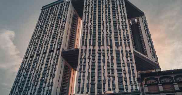 外国语单招大数据的行业文章