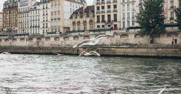 工业工程大数据软件应用