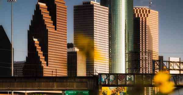 AI绘画花瓣特效大鱼海棠（AI怎么做花瓣形状）