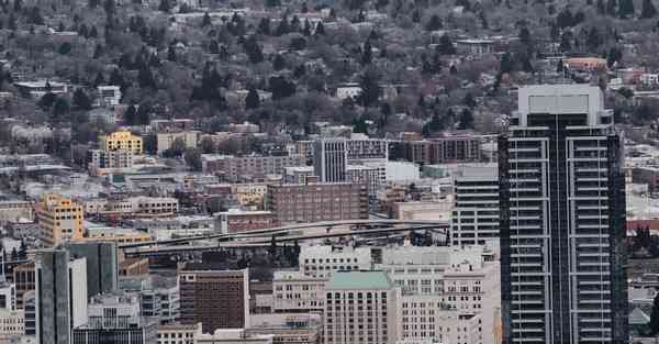 大数据判断数据变化趋势（大数据判断数据变化趋势分析）