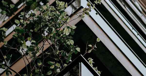 外国语单招大数据的行业文章