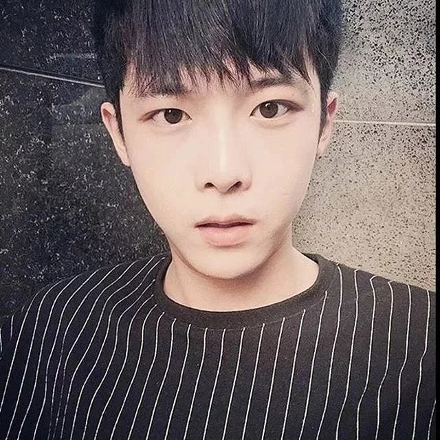 吉影莲枫