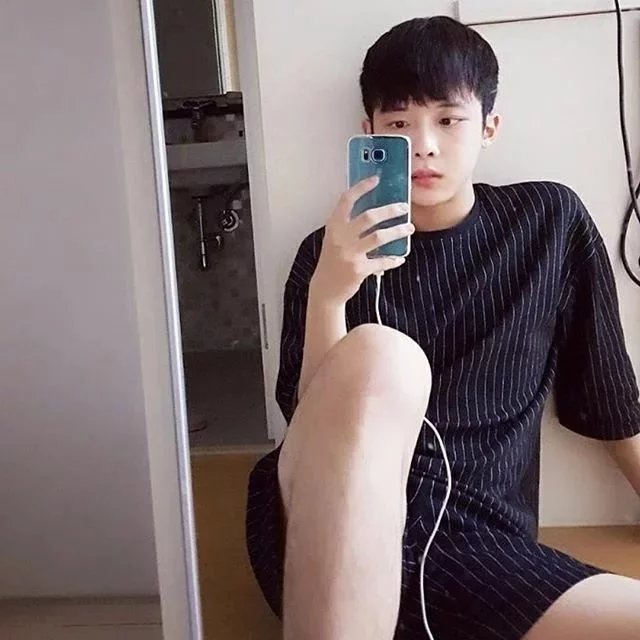 李园丹苇
