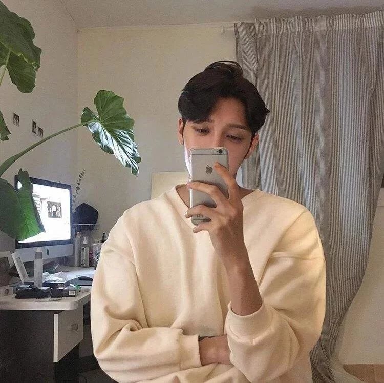 柏苛妹伦