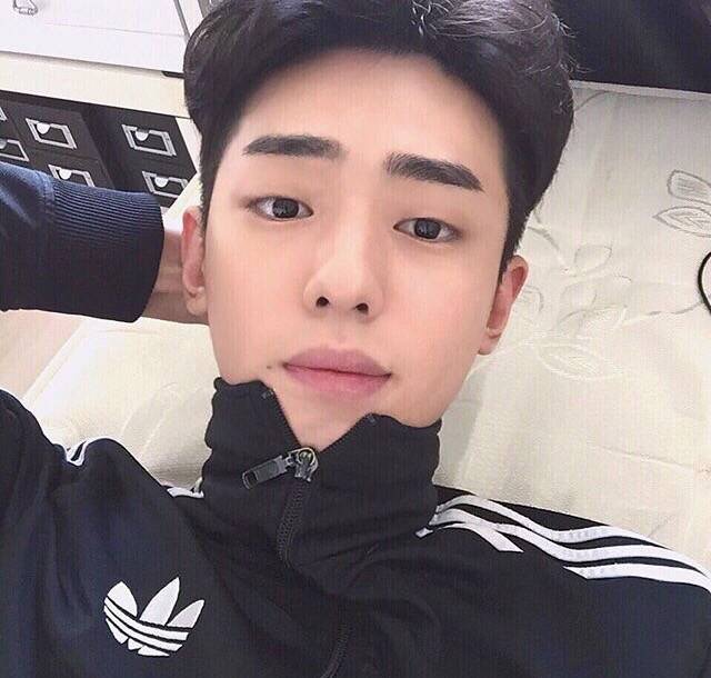 齐姬洁保