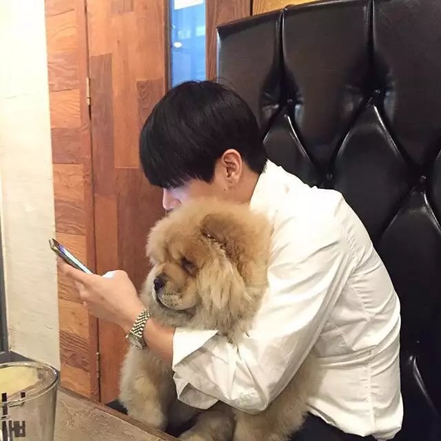 毛辰亮梦