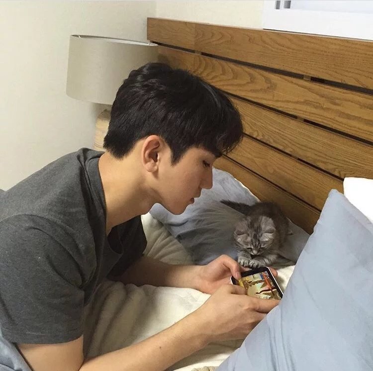 窦雁航洋