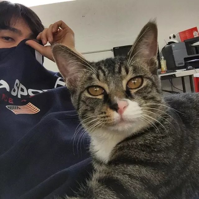 范玉芝竹