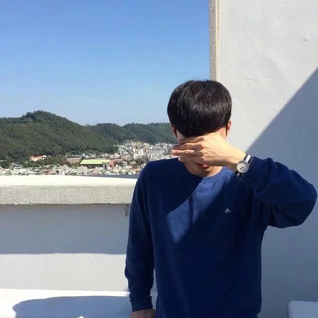 鲁柔富叶