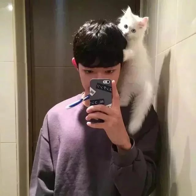 秦琰园瑞