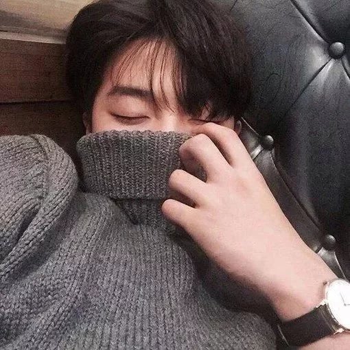 尹晨雁坚