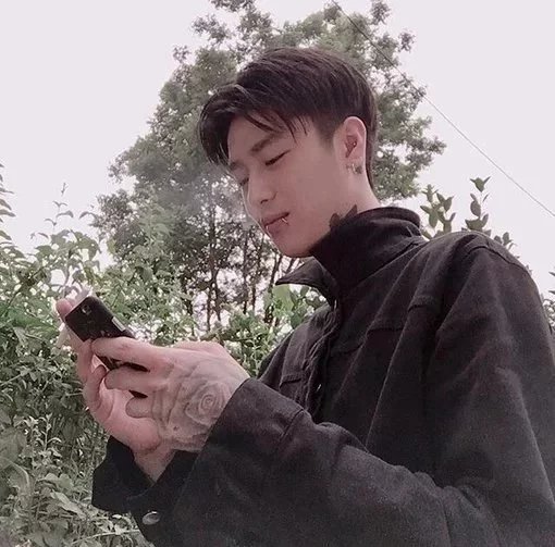 黄震兴林