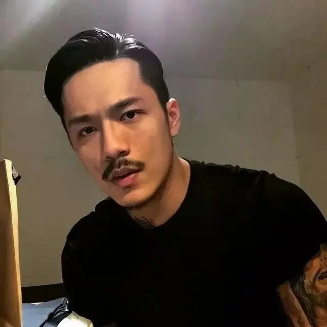 杨文启达